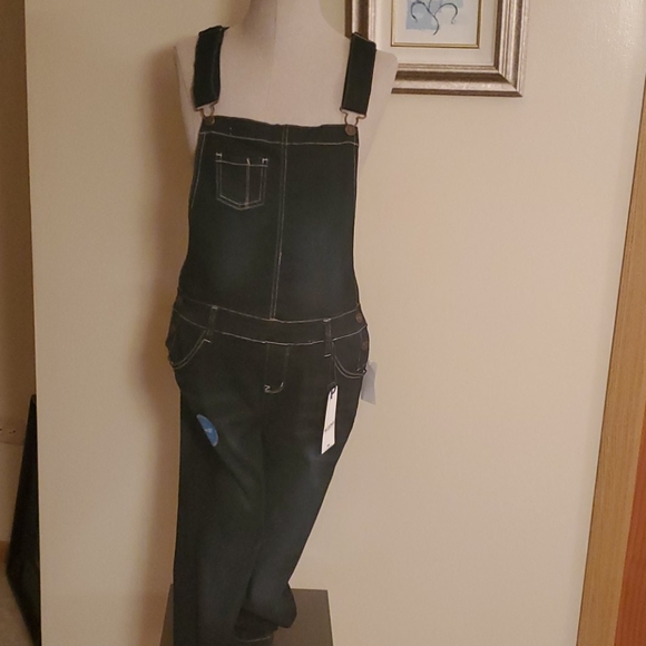 Wallflower Denim - WALLFLOWER JEAN BIB OVERALLS